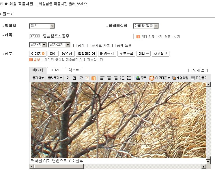 카페새로이 이미지